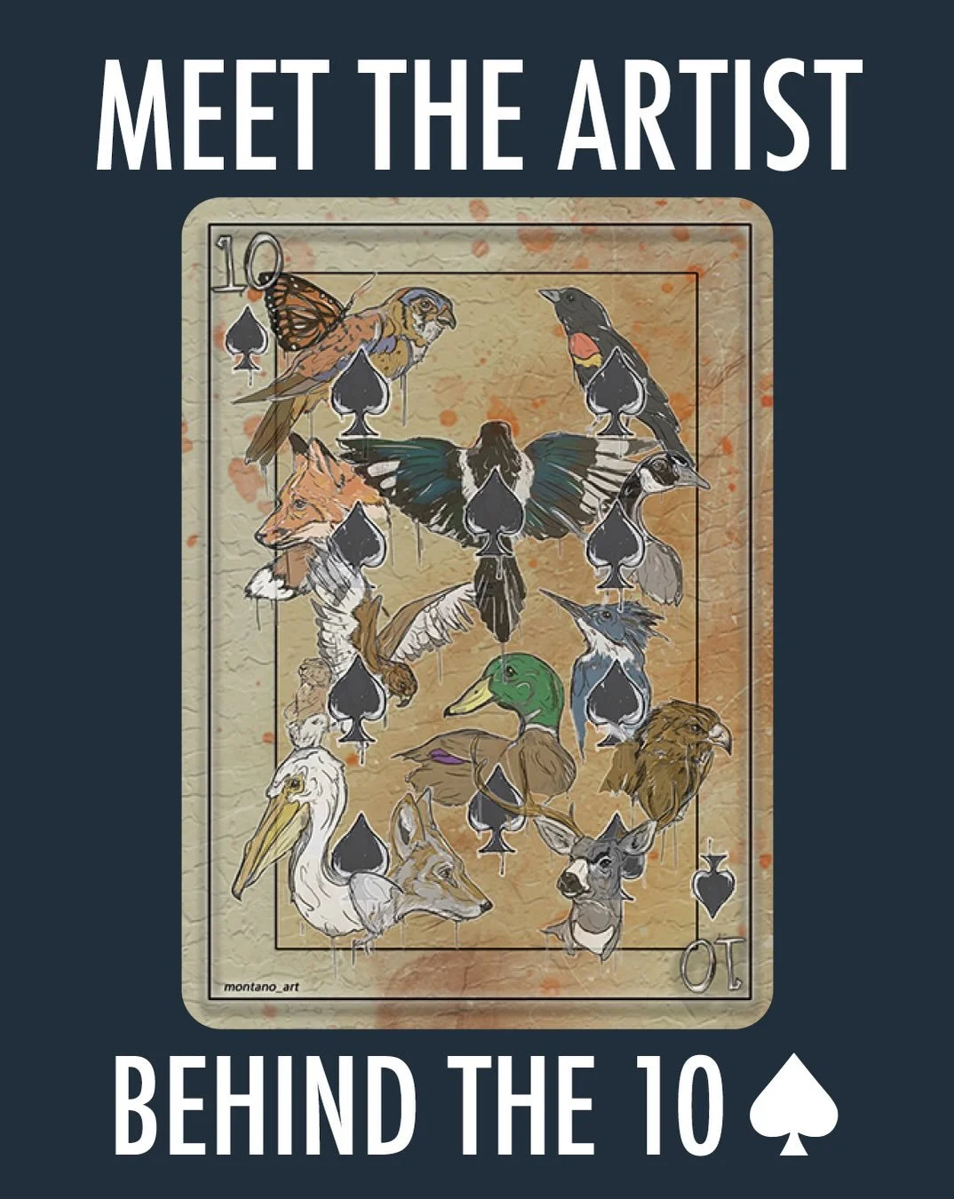 Meet the artist behind the 10&spades;️, Dominique Monta&ntilde;o. 

&ldquo;Dominique Monta&ntilde;o is a wildlife artist and educator from Fort Collins. She focuses on using her scientific background to blend together complex topics with visual aesth