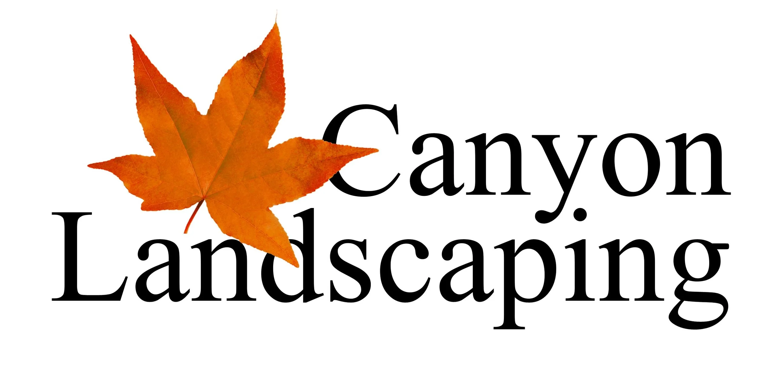 Canyon Logo white background.jpg