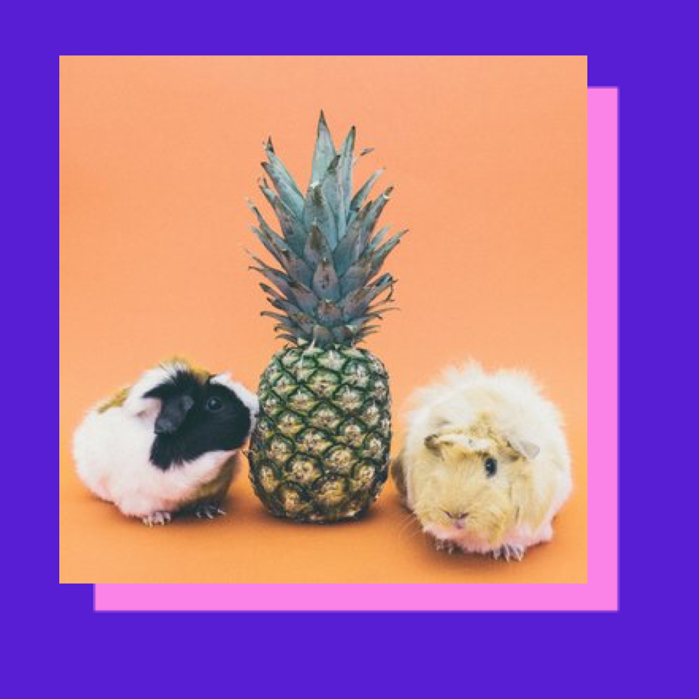 I Want To Go Cruelty-Free, But Where Do I Start?