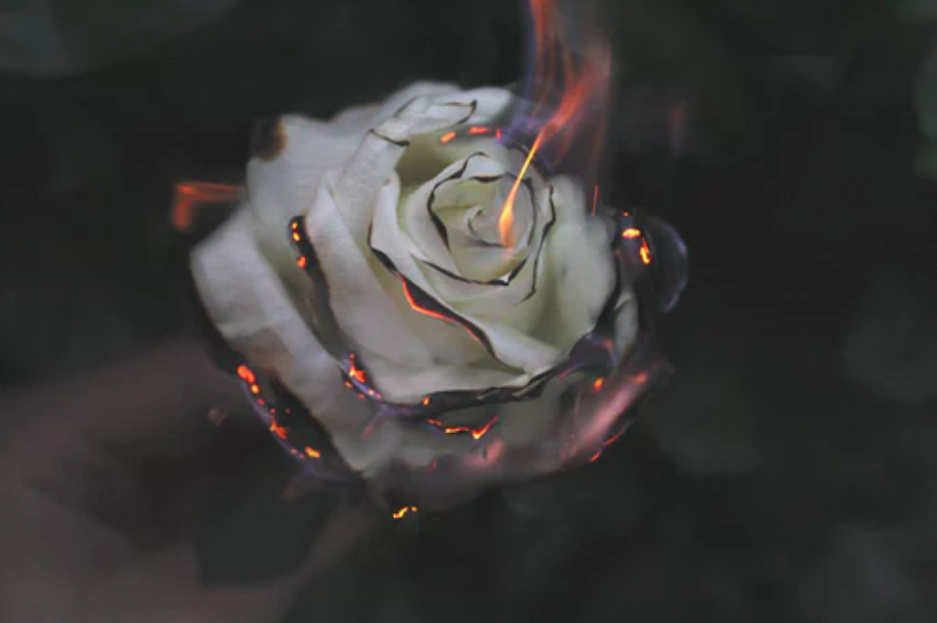 We're Calling Bullshit on All Fragrance, Even Natural