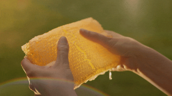 Rachel's Organic.gif