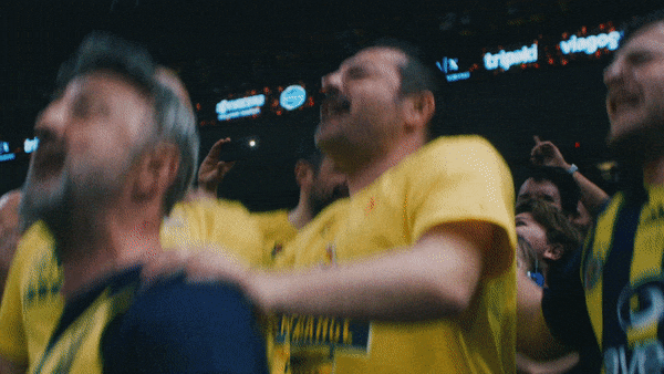 Turkish Airlines.gif