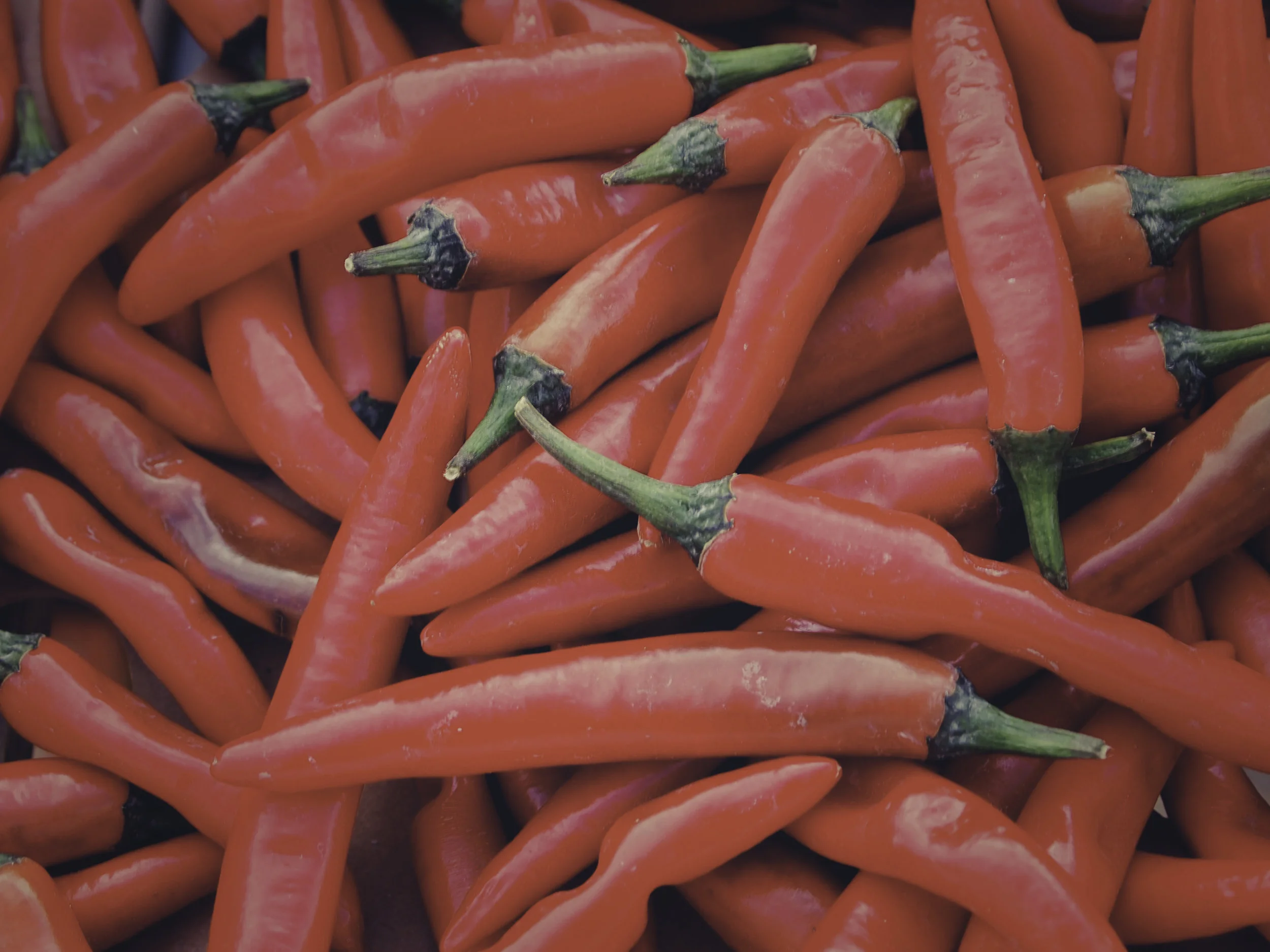 peppers.jpg