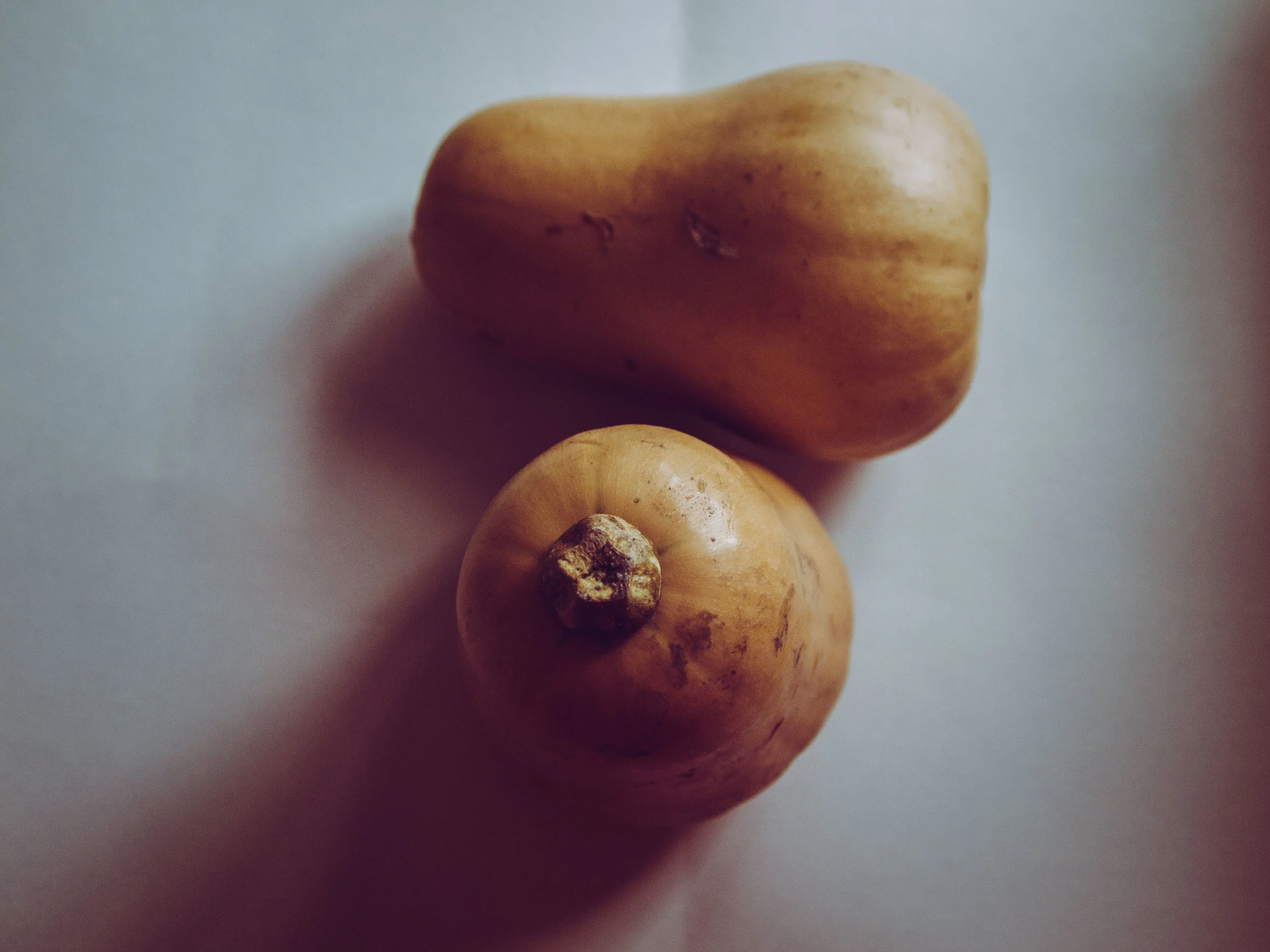 moody squash.jpg