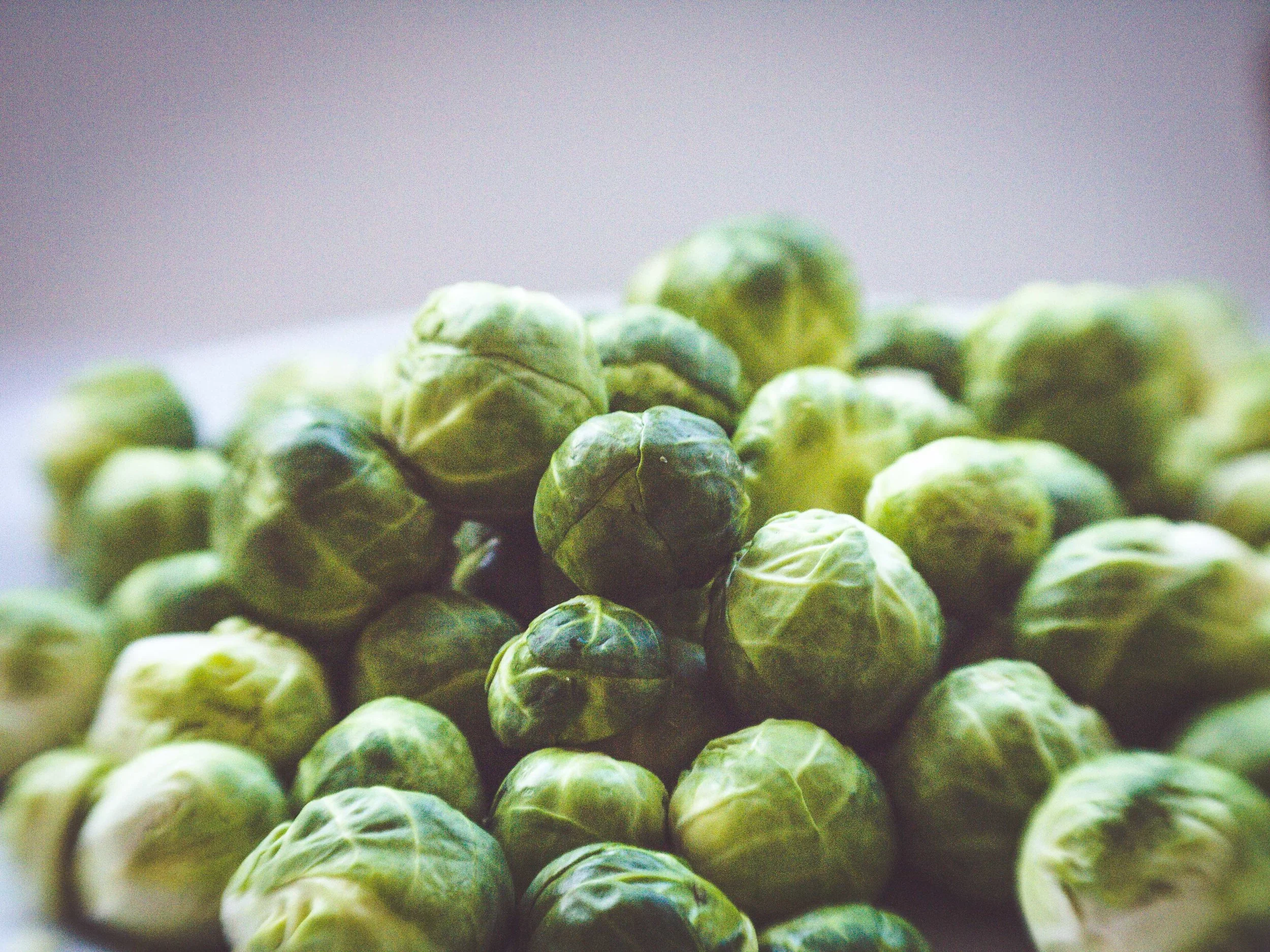 moody sprouts.jpg