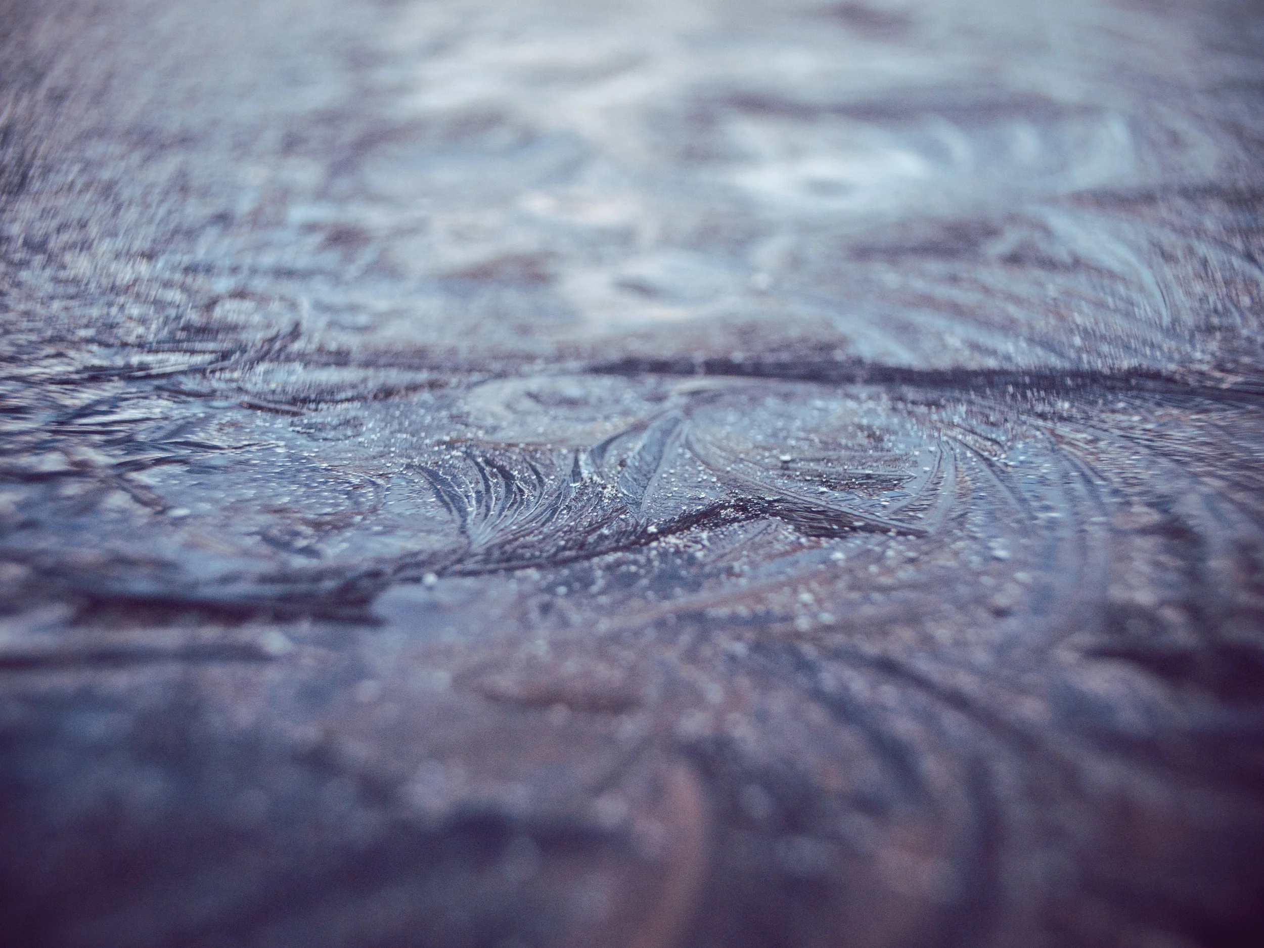 frost-10.jpg