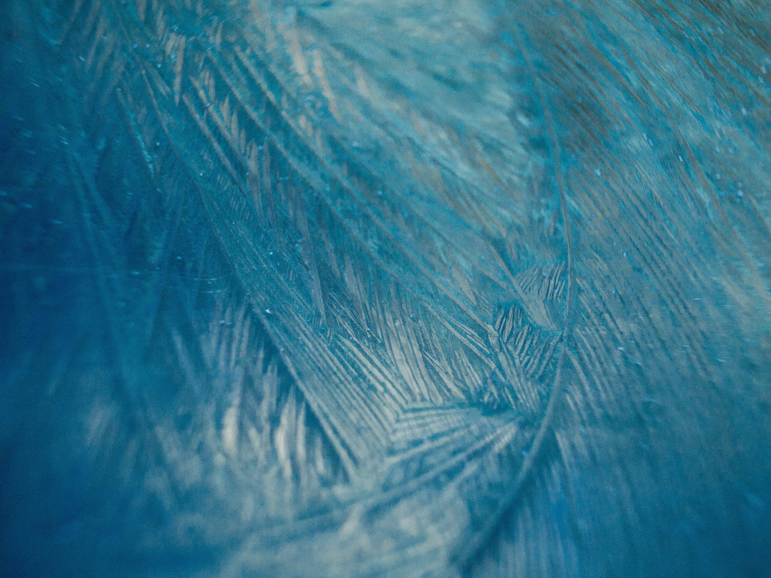 frost-18.jpg