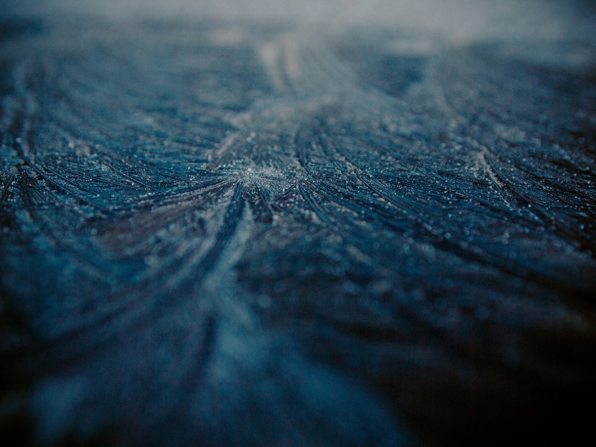 frost-24.jpg