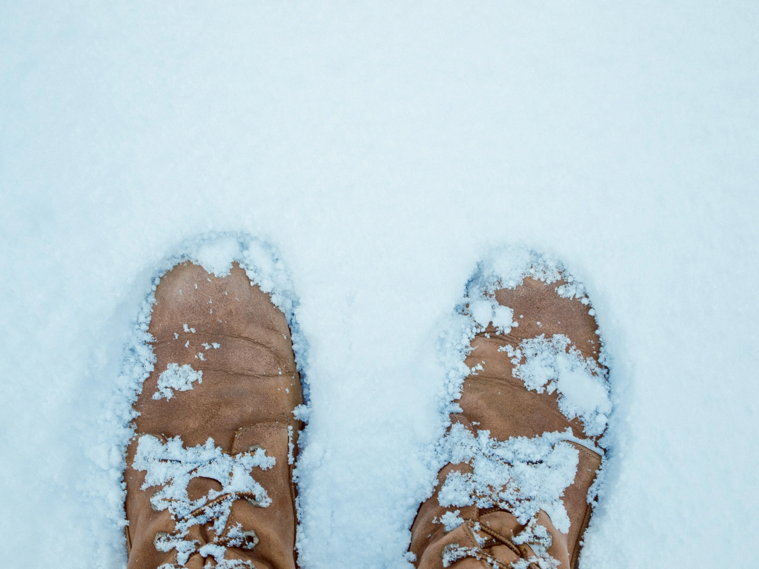 snow-5.jpg