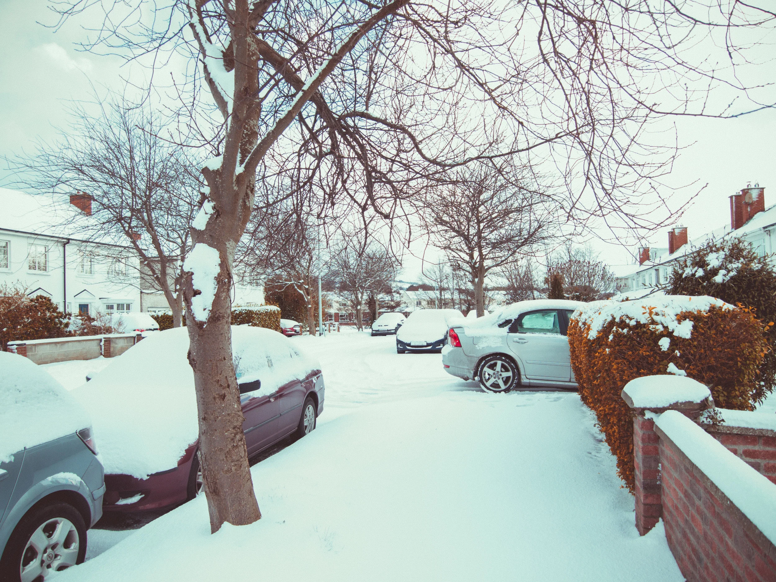 snow-10.jpg