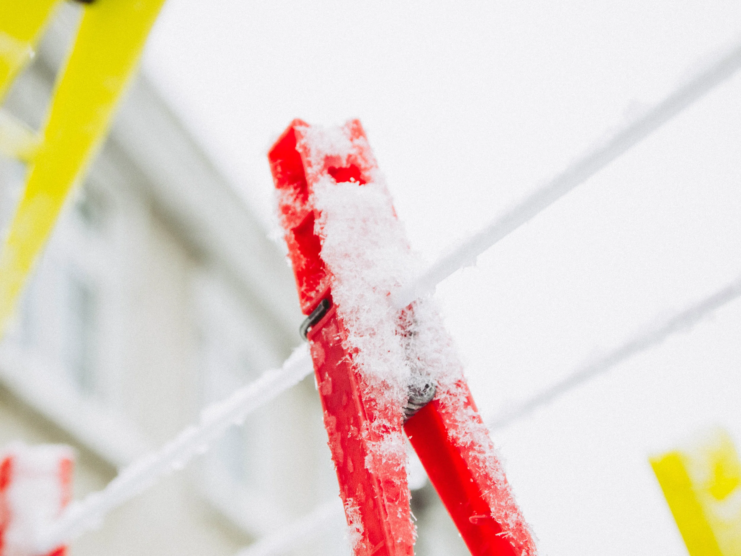 more snow lowres-3.jpg