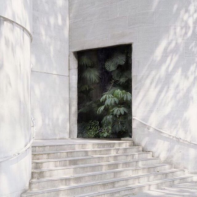 Our daily inspo via @theuniqueorn take us to our second collection Mirage Exotique | 🌴◼️
Where geometrics elements combined with the design of plants and exotics animals form a sort of illusion. 
At Aenēis we believe in pieces that last from a gener