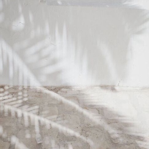Summer shadows |
Monday starts well today, check out our stories | we are on @marieclairehun ✨
#aeneisparis #silkscarf #ethicalfashion #palmtrees #pattern