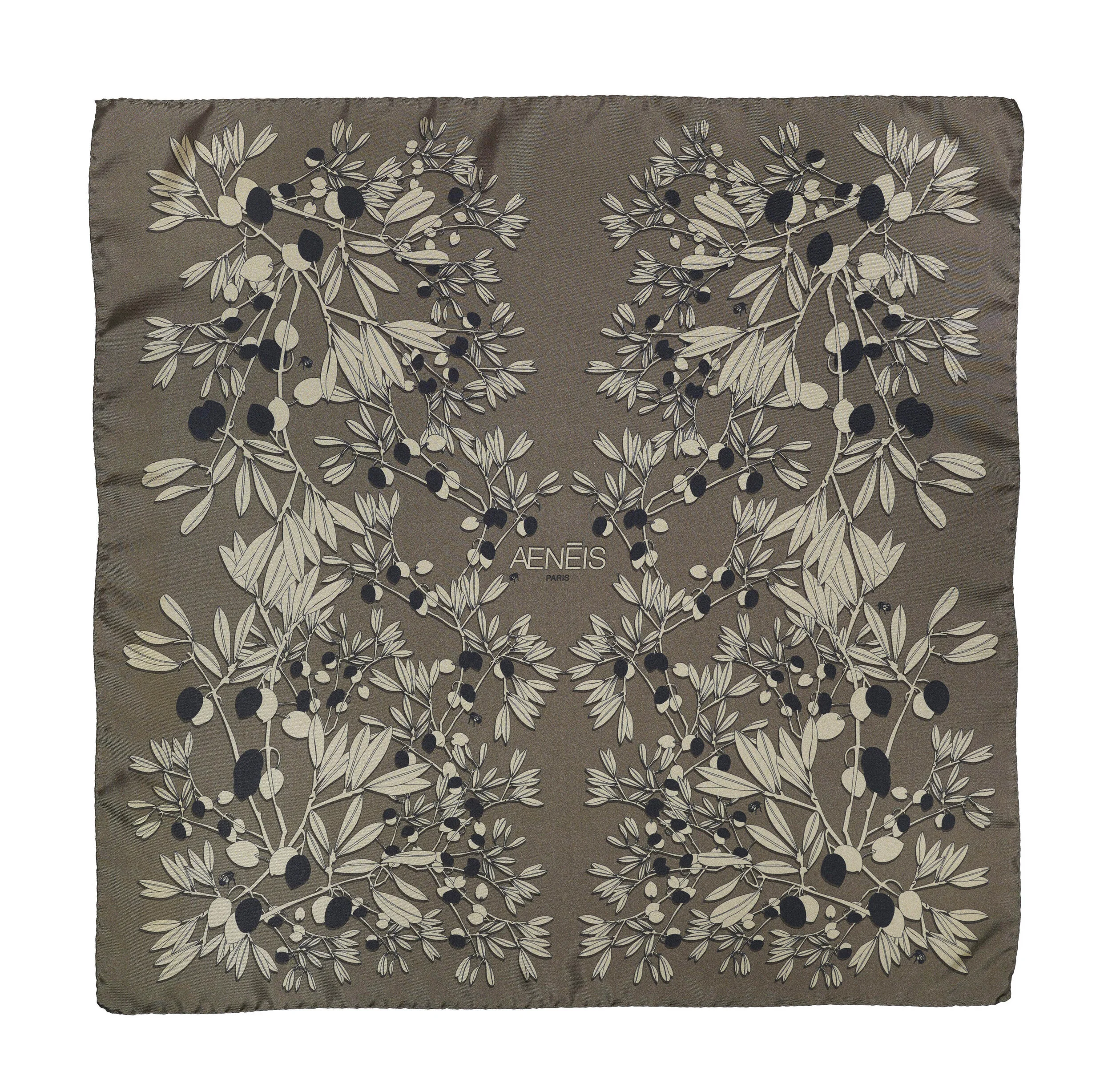 foulard_soie_aeneisparis.jpg