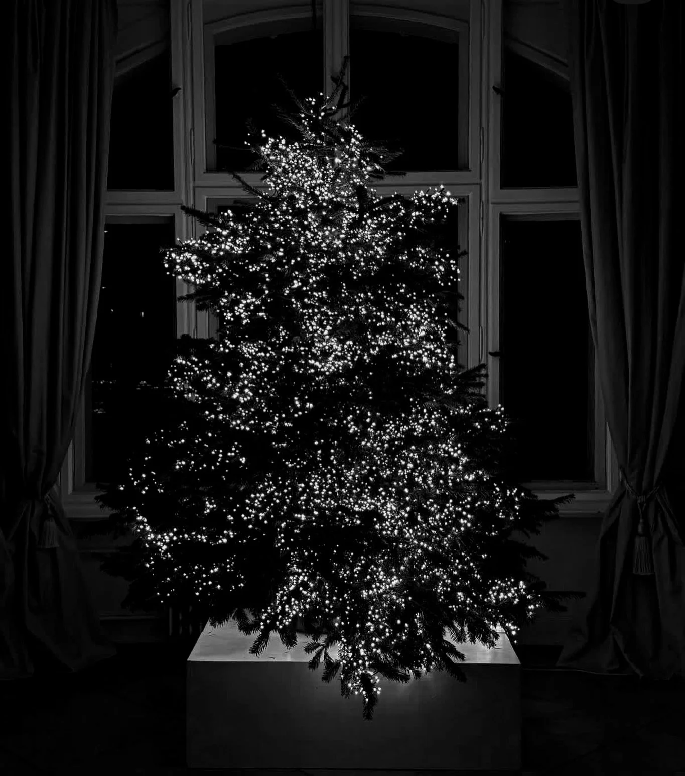 Happy holidays from our very small team! x
Christmas tree by @ruby_marylennox