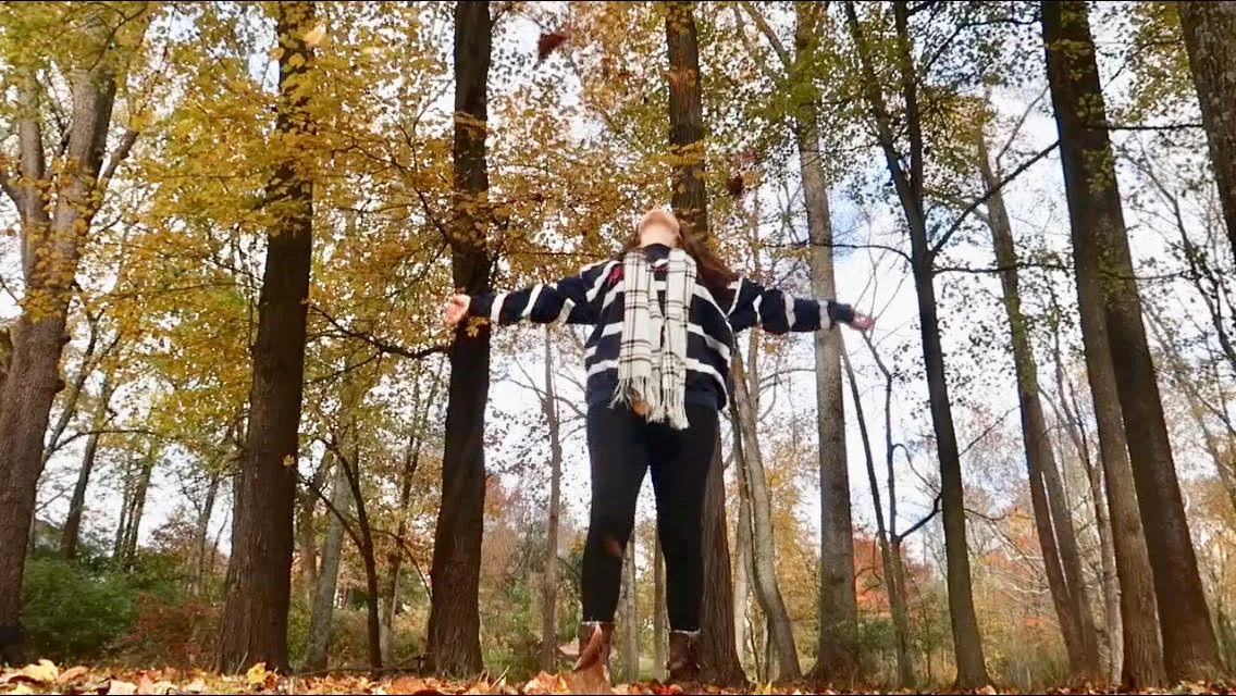 fall 4.jpg