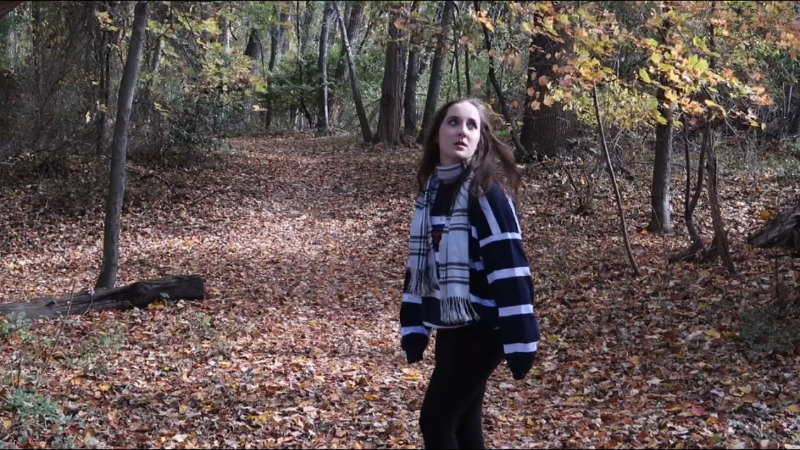fall 9.png