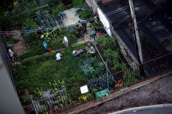 St. Rose's Garden