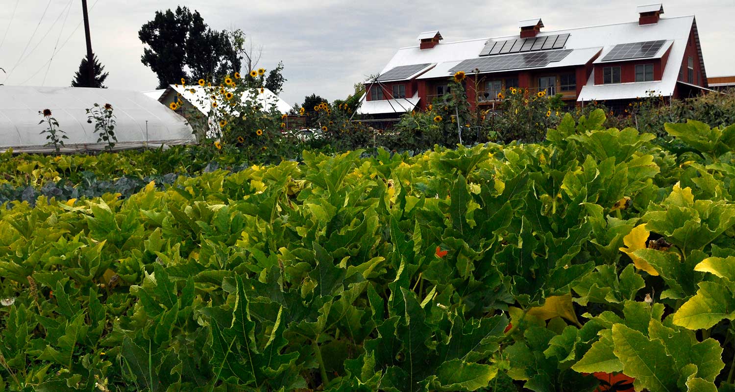 orchard-gardens-header-image.jpg