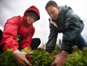 Soggy weather heralds start of damp fall