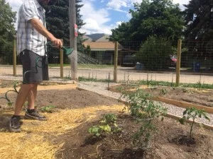 Best Practices for Watering Your Garden