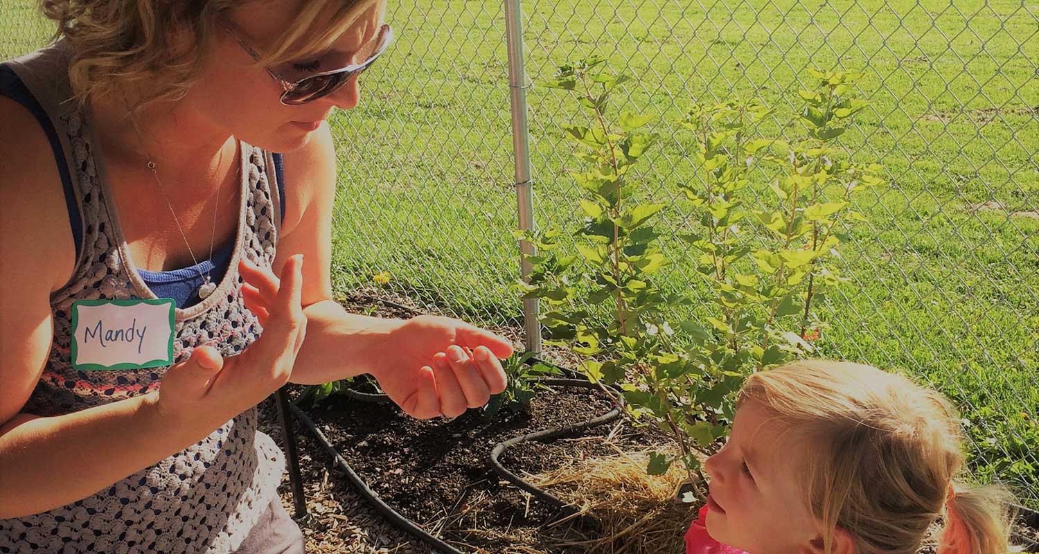 school-gardens-header-image.jpg