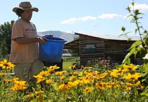 Garden City Harvest celebrates 20th anniversary with big plans