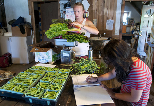 Missoula teens learn farming while reaping personal growth