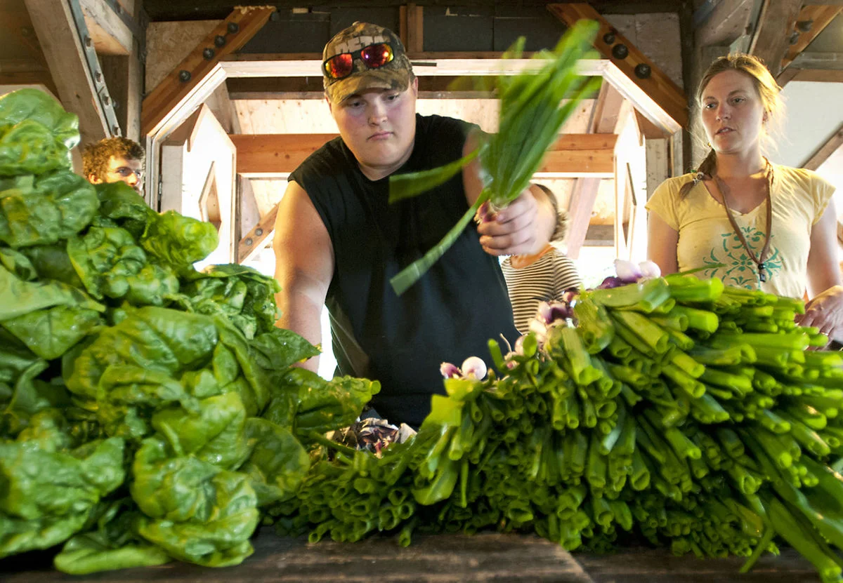 Missoula Youth Harvest ‘outsider’ says program instills open dialogue, respect for differing opinions