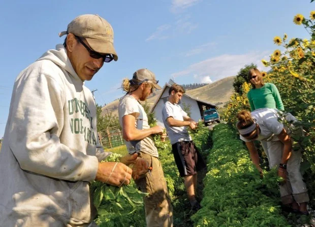 Missoula seeks 40-year lease of PEAS Farm land from MCPS
