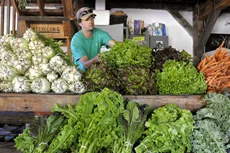 PEAS, Please; Engen to make formal proposal to purchase farm from MCPS for $1.2M