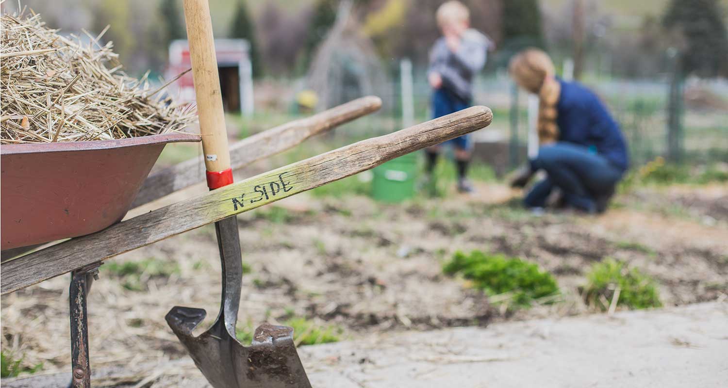 community-gardens-header-image.jpg
