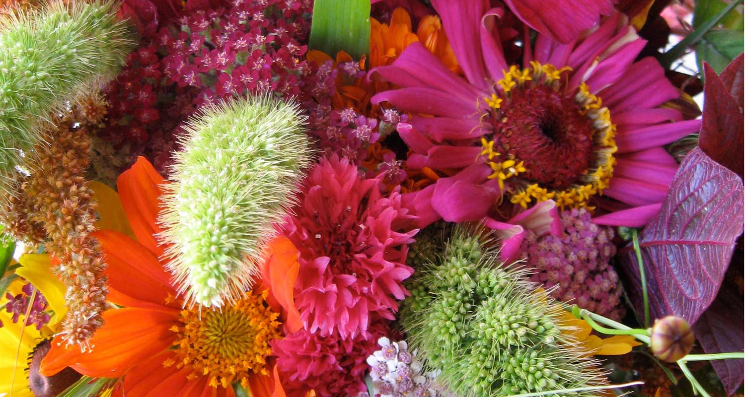 flowers-header-image.jpg