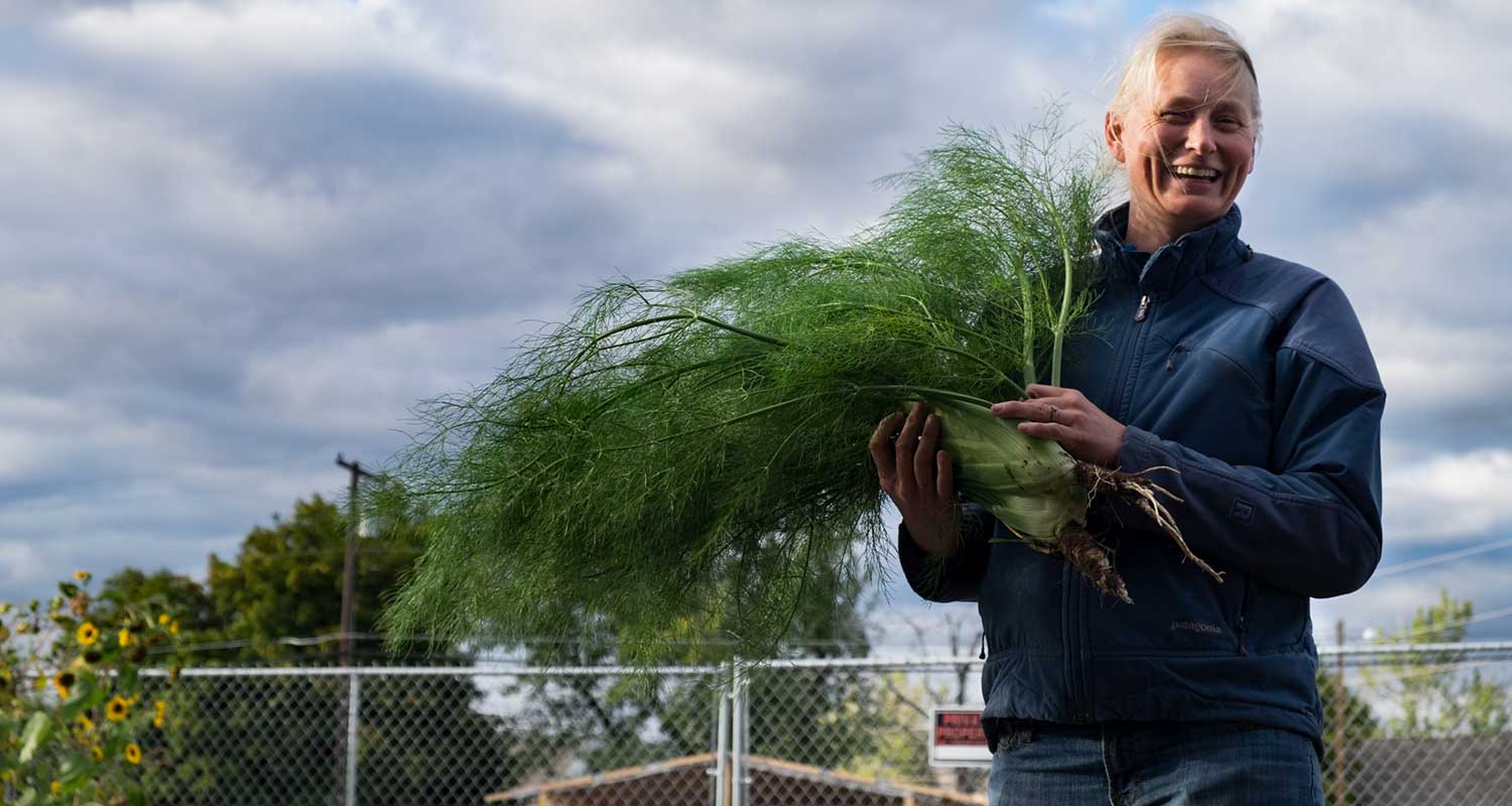 volunteer-for-veggies-header-image.jpg