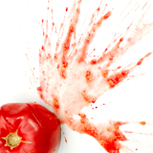 The Real Dirt Tomato - Splat!