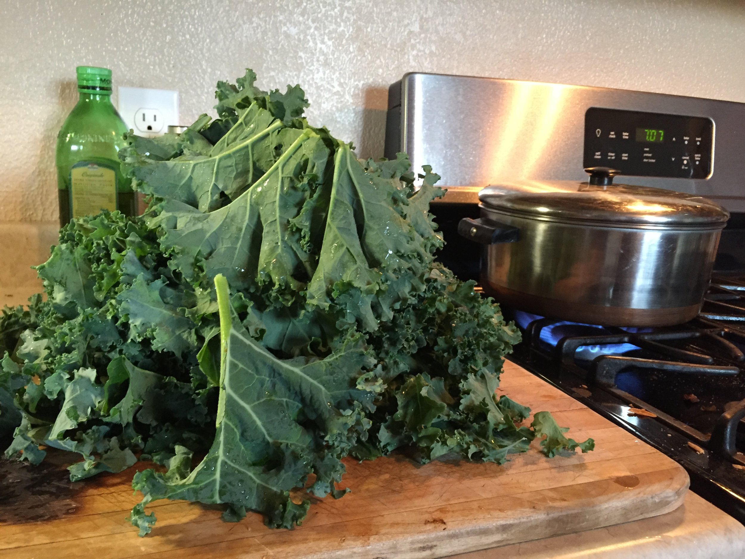 Got (Too Much) Kale? — Garden City Harvest