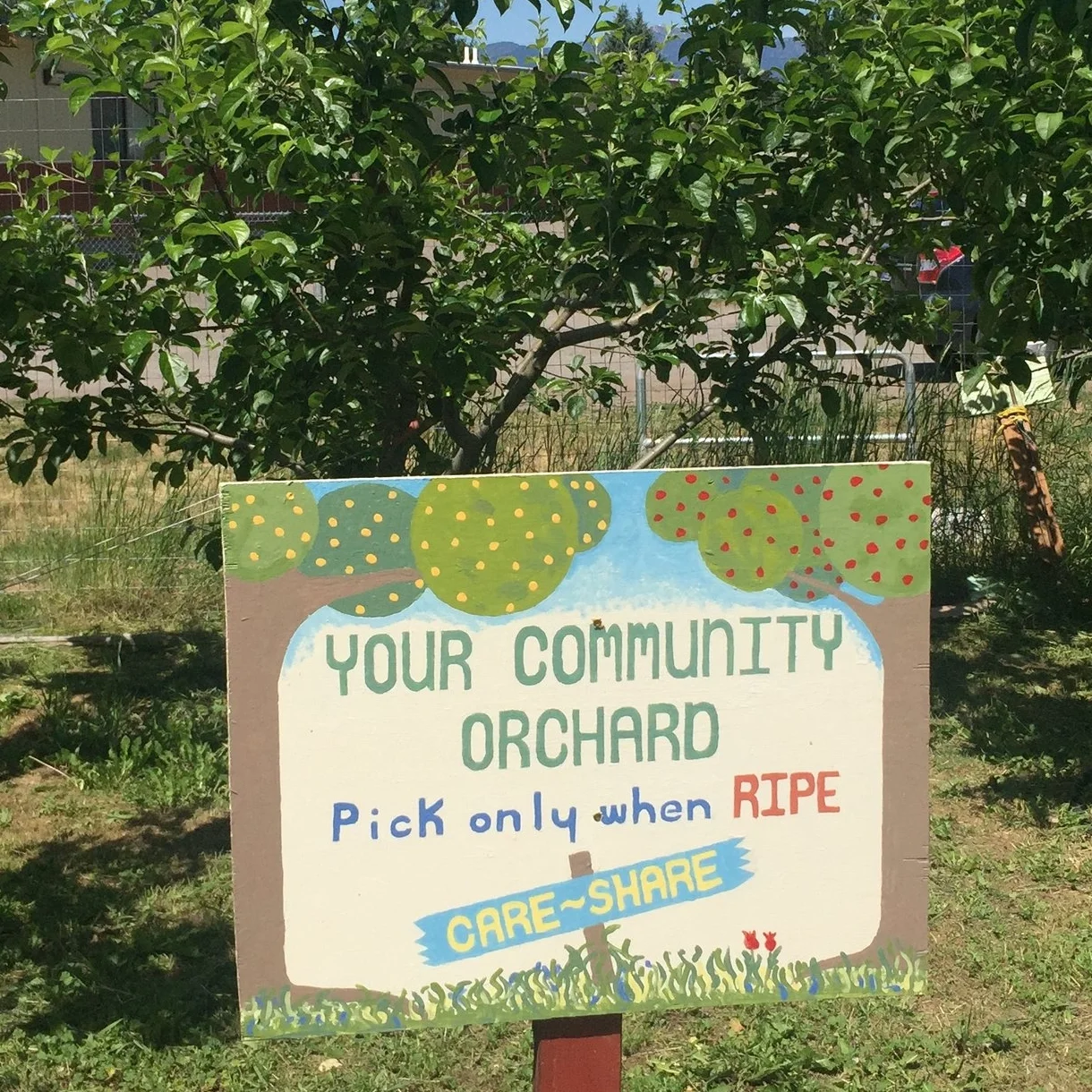 Community Garden Spotlight: Meadow Hill 