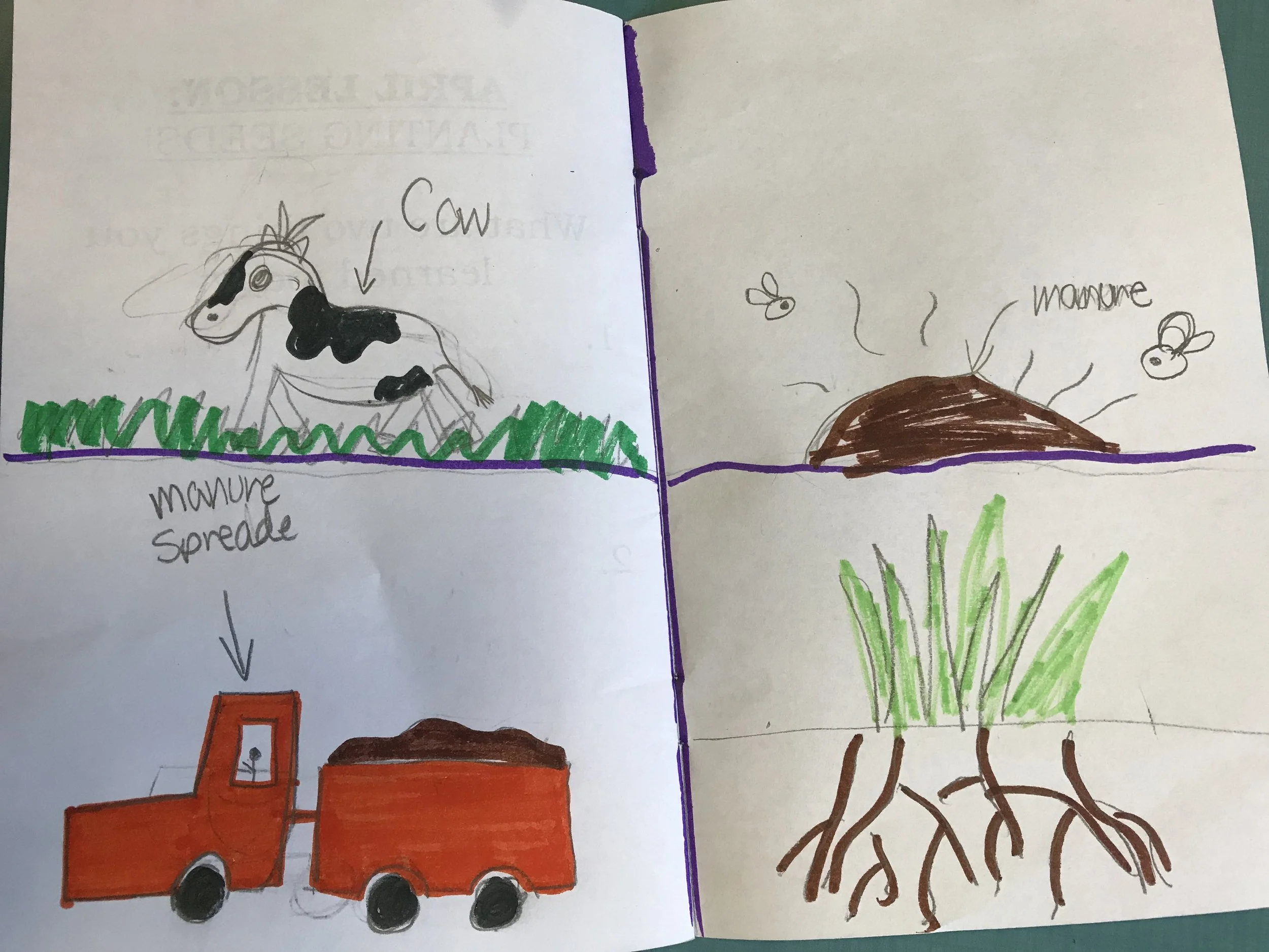 Honey Bees, Cows, and Montana Super-Bread: Reflecting on Farmer in the Classroom