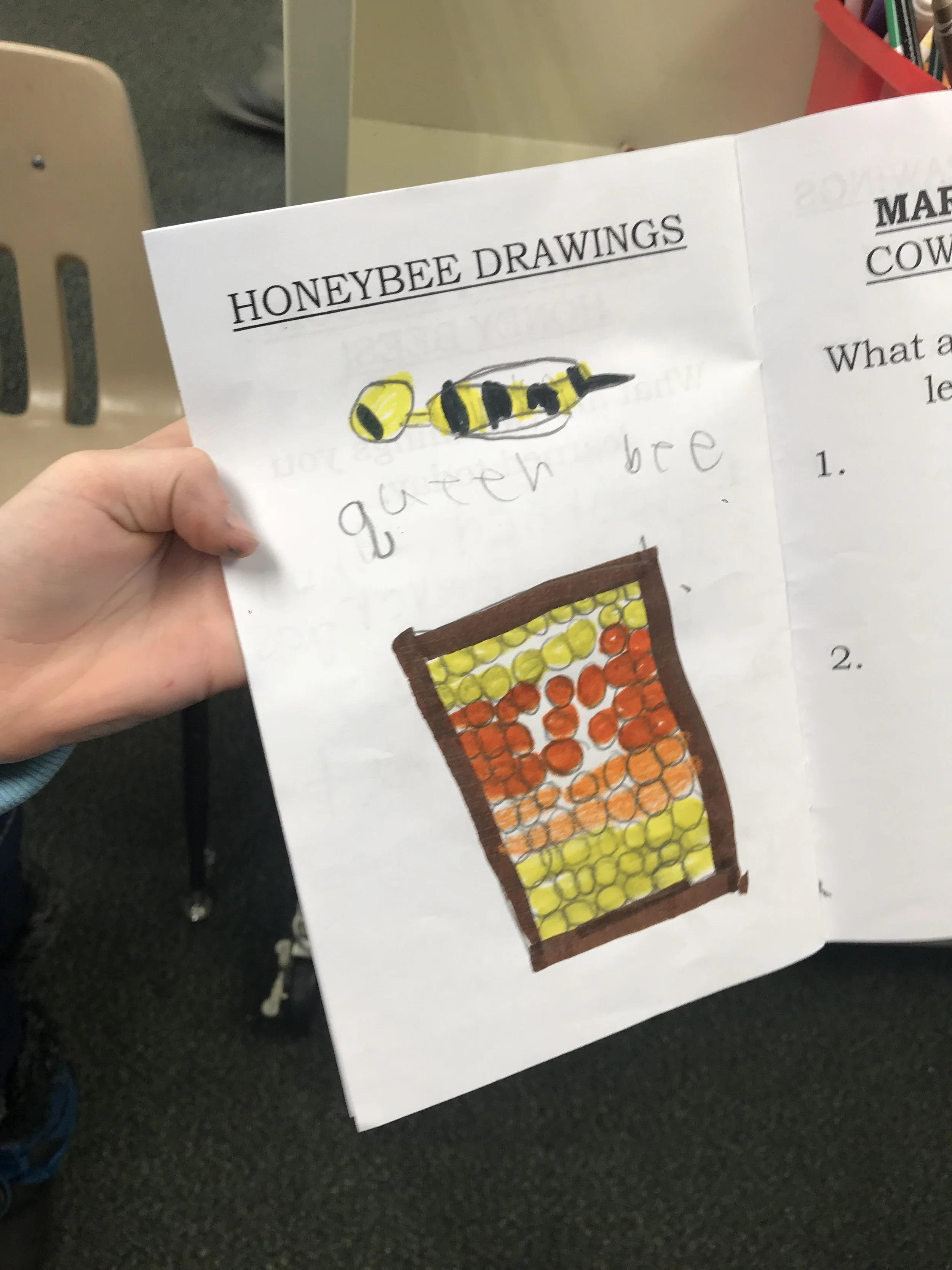 The queen bee, a drawing in one second grader’s Farmer in the Classroom journal.
