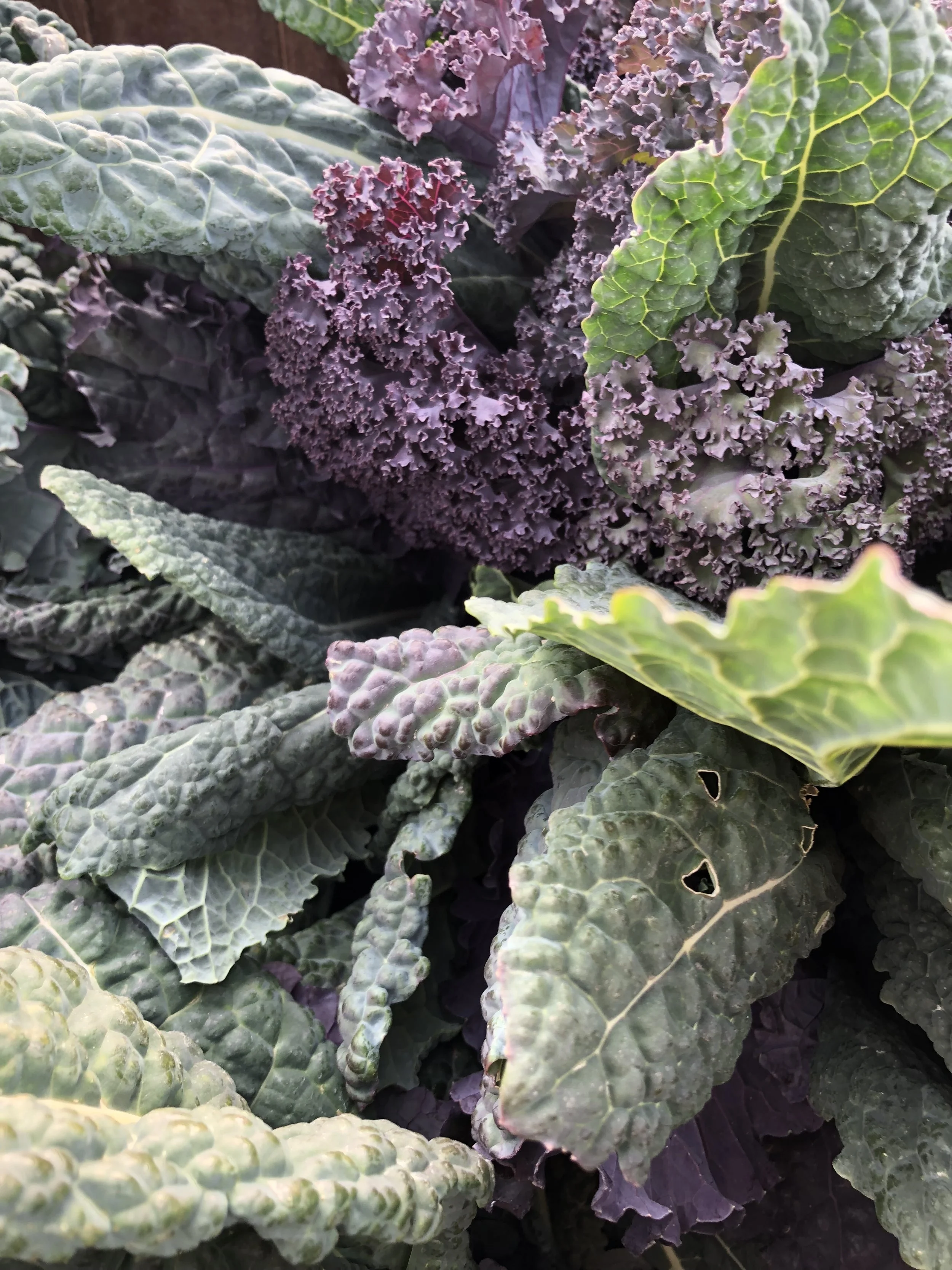 Prepping Your Veggies for the Week: 3 Ways