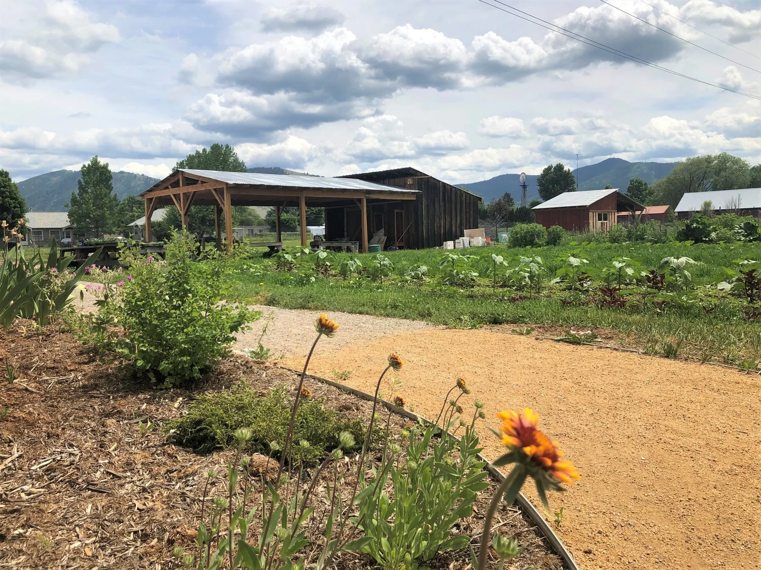 Missoula Craigslist Farm And Garden