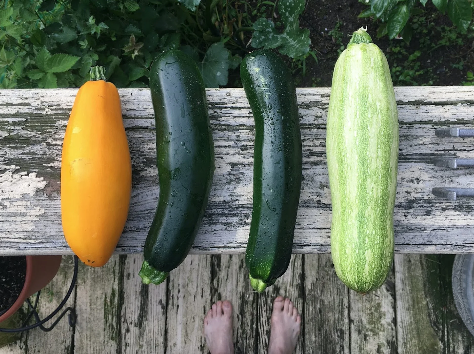 Zucchini 3 Ways