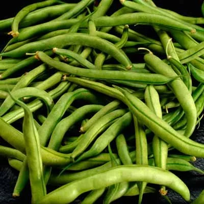 Pickling &amp; Fermenting - What You Need to Know