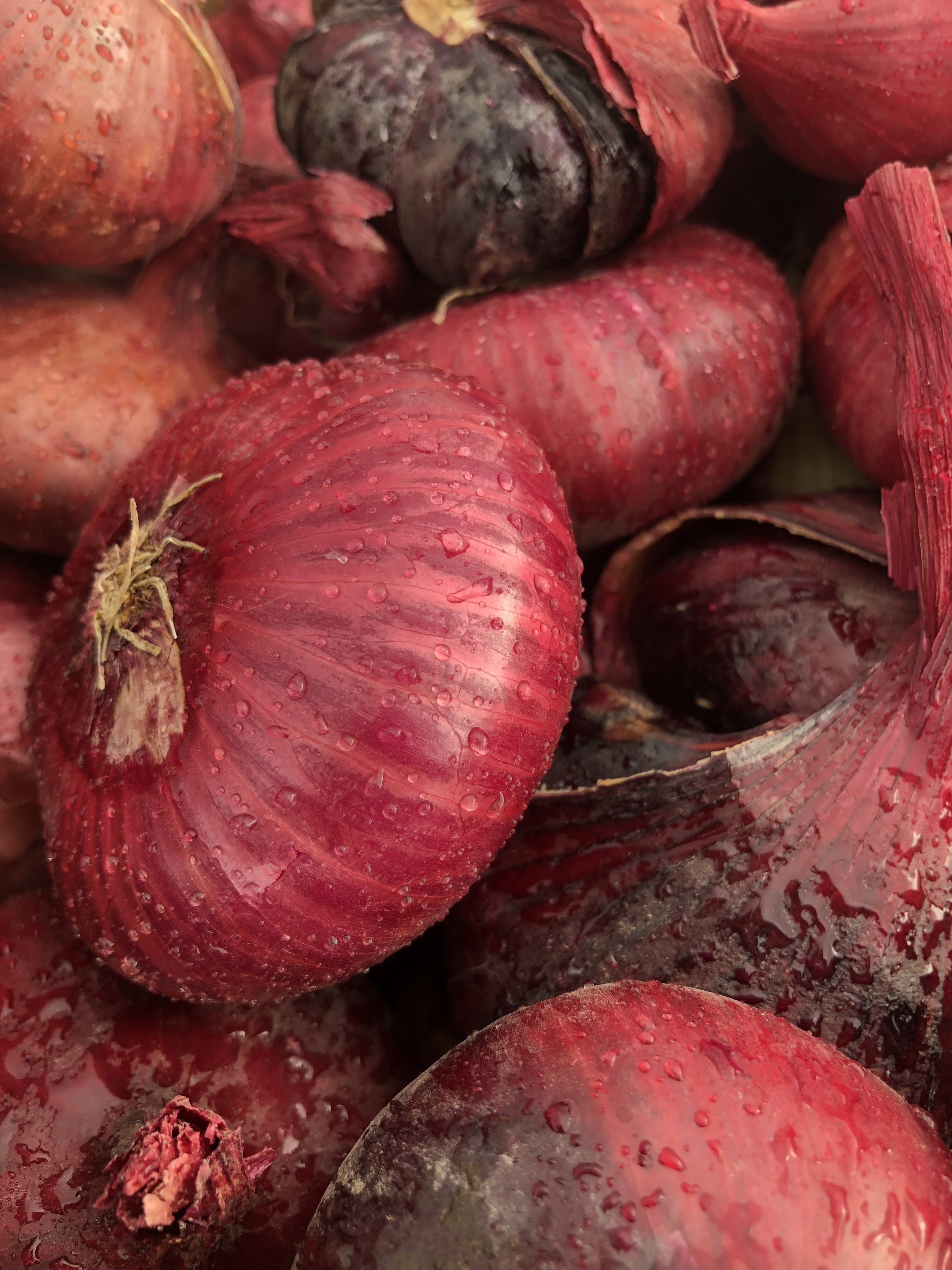 Winter Storage Veggies: it's easier than you think + formula for how much to buy