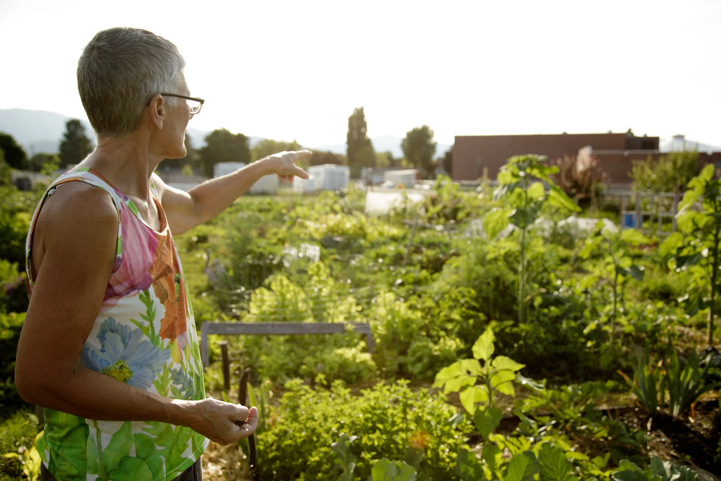 Growing the Biggest Bang for Your Buck 