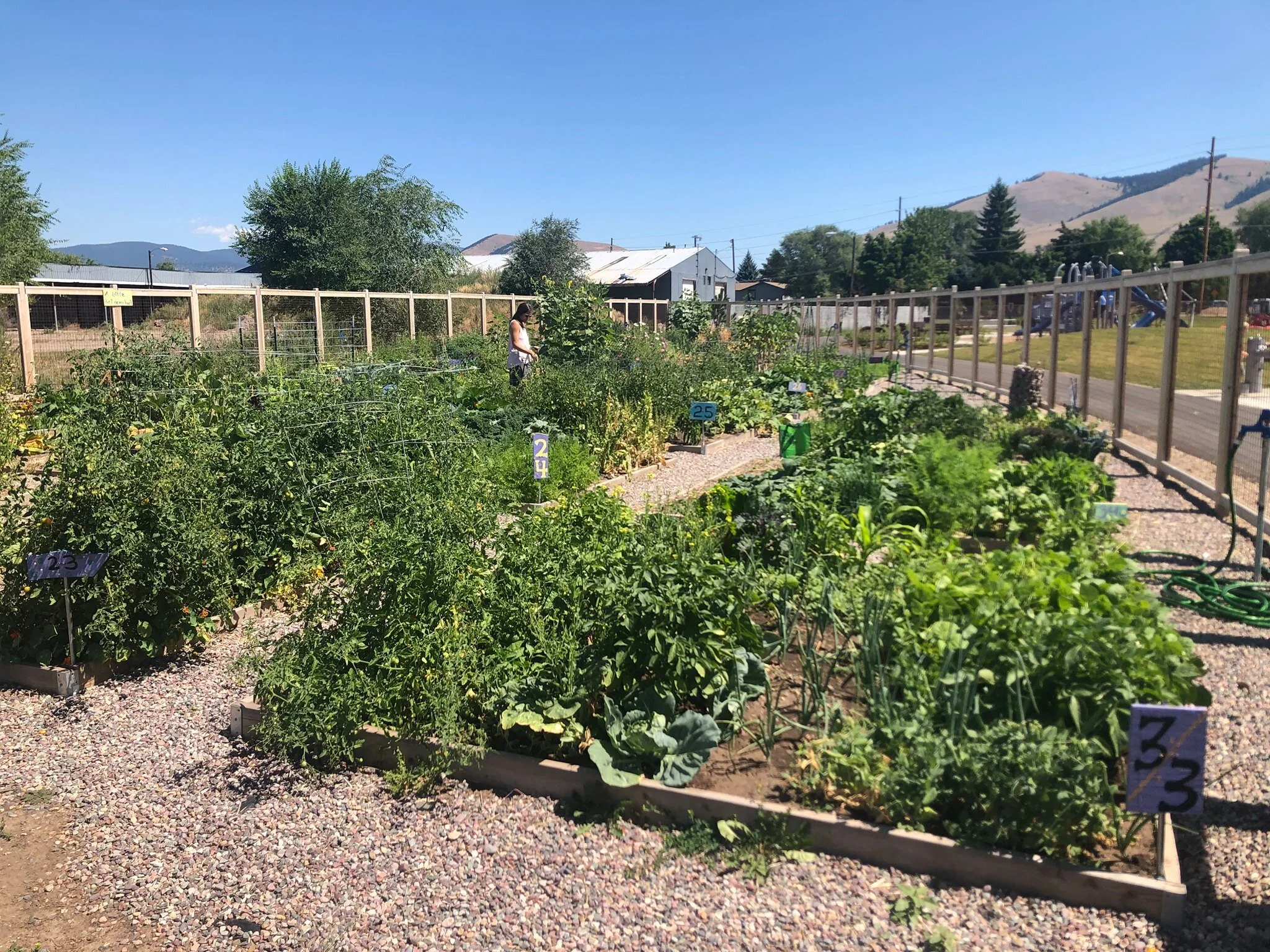 Bitterroot Line Community Garden Orientation