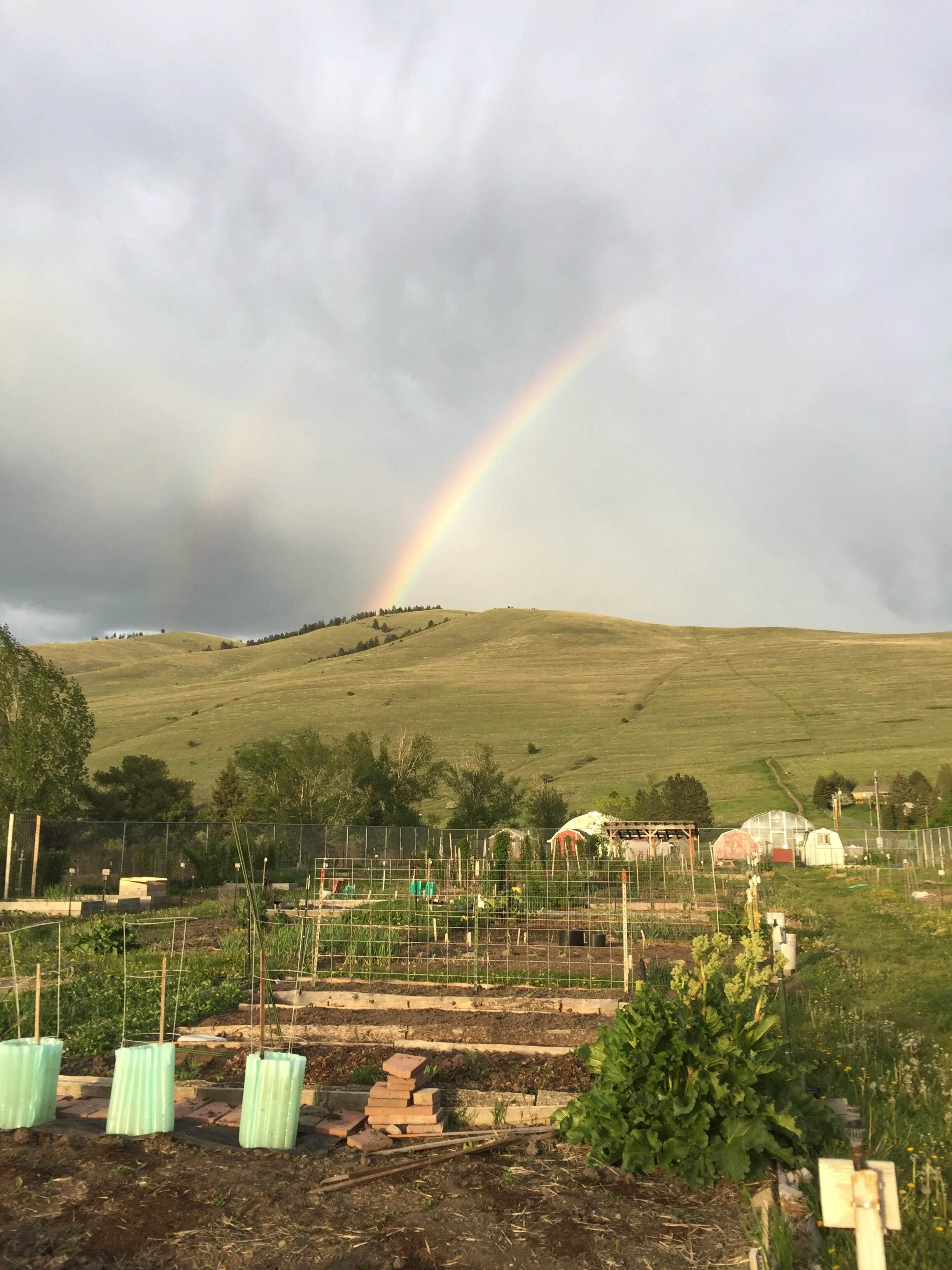 ASUM Community Garden Orientation