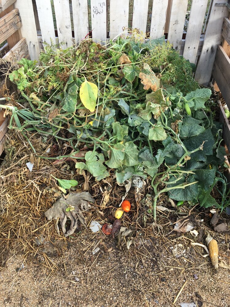 My Compost Bin Plans - Revolutionary Gardens