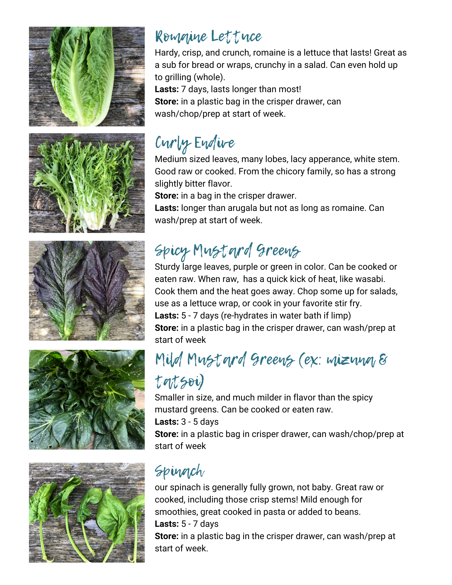 Identifying Lesser Known Greens — Garden City Harvest