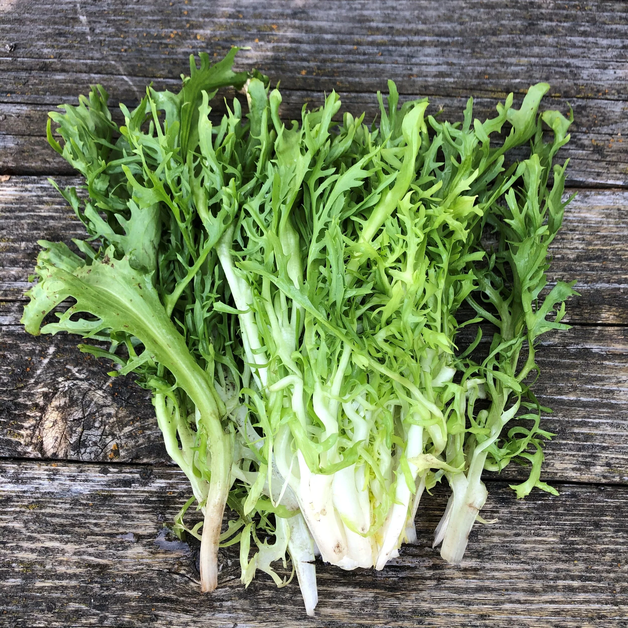 Identifying Lesser Known Greens